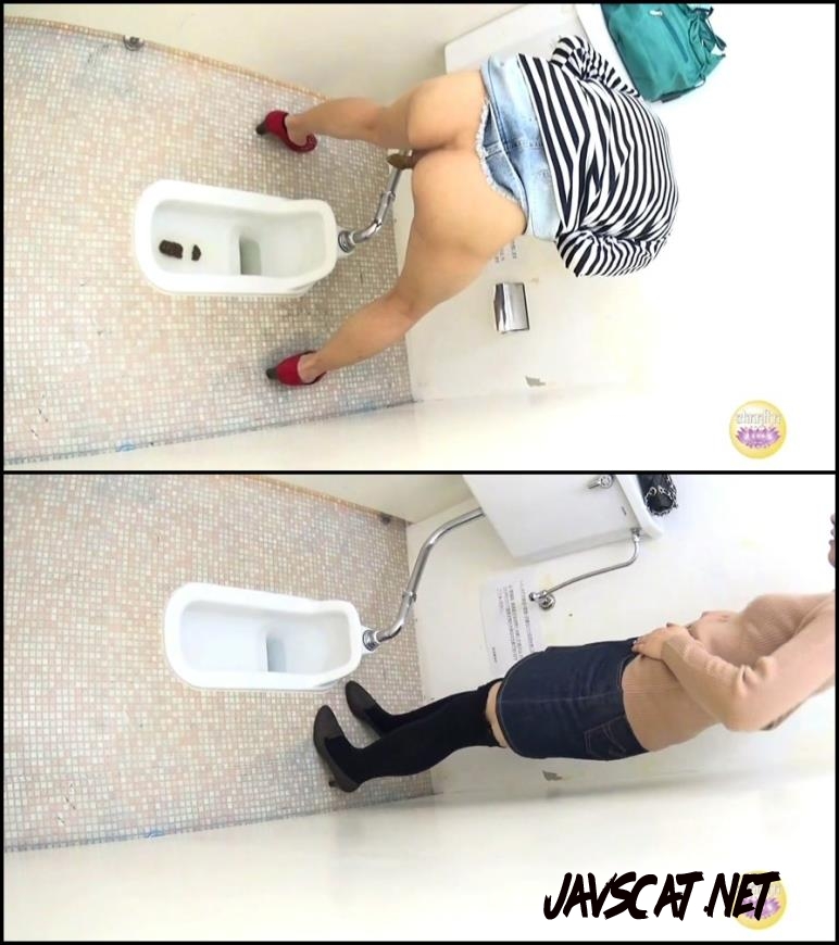 BFNS-05 Standing japanese girls shitting in toilet (2018 | 1.14 GB | HD)