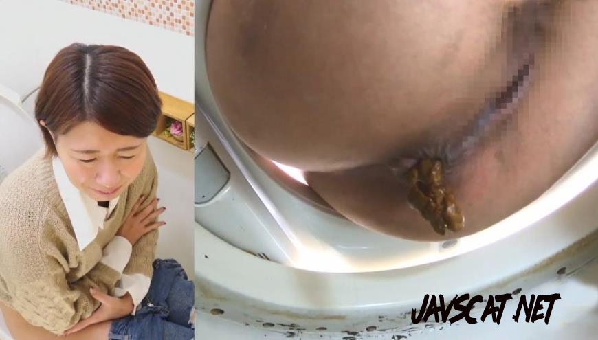 BFSL-171 Using the Friends Toilet to Shit 5 友人のトイレを使って (2020 | 905 MB | FullHD)