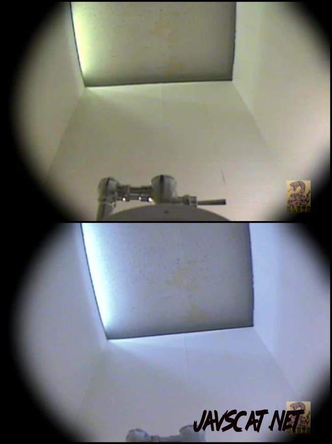 SLUF006 Toilet Defecation うんこフルショット　４カメ３マルチアングル　６　素人女編 (2018 | 2.07 GB | SD)