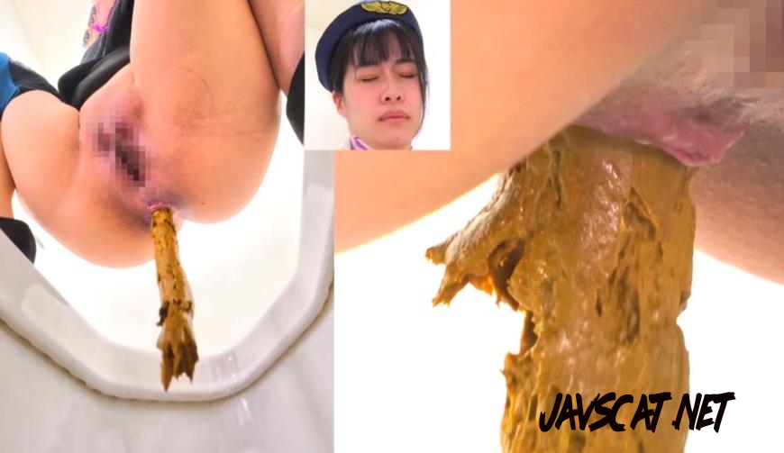 BFEE-301 Long Shit on Western and Japanese Style Toilets (2025 | 487 MB | FullHD)