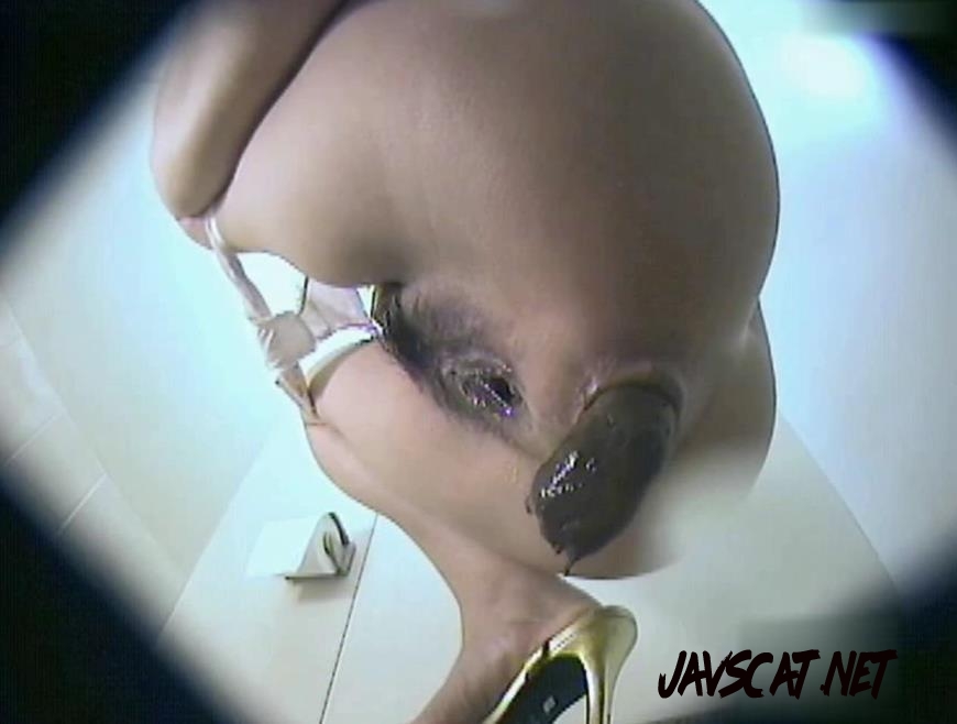 BFJP-194 Peeing and Shitting in Toilet トイレでおしっことうんちをする (2025 | 1.92 GB | SD)