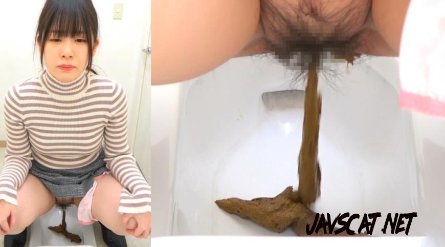 BFSR-704 洋式トイレと和式トイレにウンコをする Farting and Shitting in the Toilet (2025 | 162 MB | FullHD)