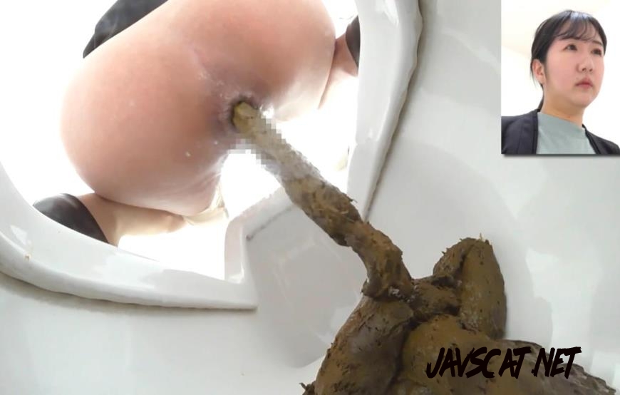 BFEE-312 Shit on Western and Japanese Style Toilets (2026 | 316 MB | FullHD)