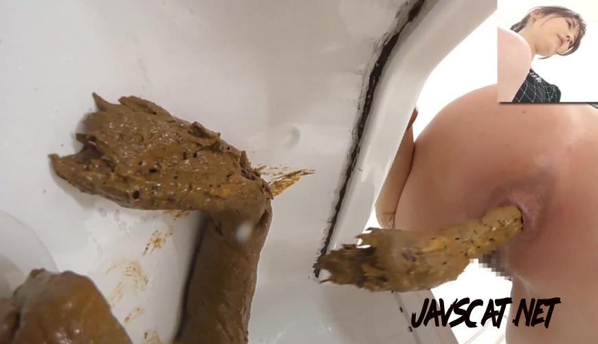 BFEE-320 洋式トイレと和式トイレでウンコする Long Shit Japanese Toilets (2026 | 222 MB | FullHD)