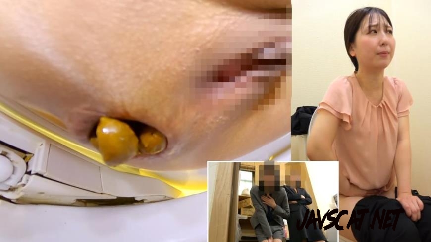 BFSL-313 トイレで排便する Defecating in the Toilet (2026 | 566 MB | FullHD)